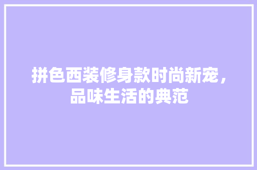 拼色西装修身款时尚新宠，品味生活的典范  第1张