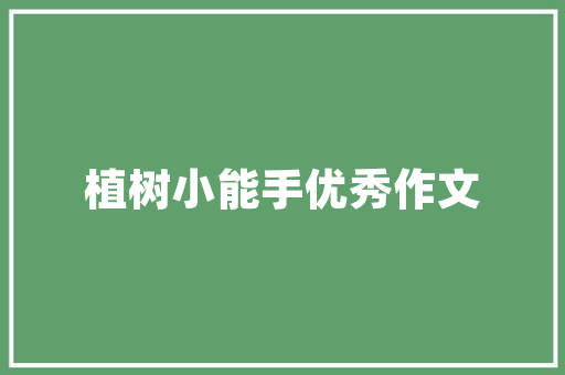 老款本田CRV内饰装修探寻经典与现代的交融之美