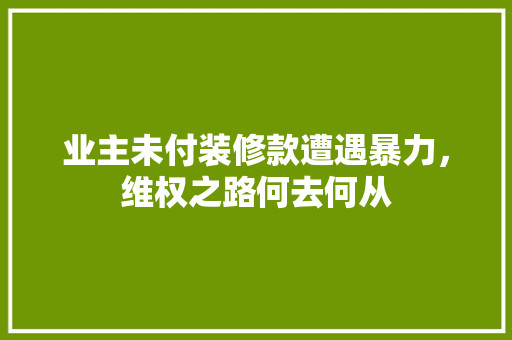 业主未付装修款遭遇暴力，维权之路何去何从