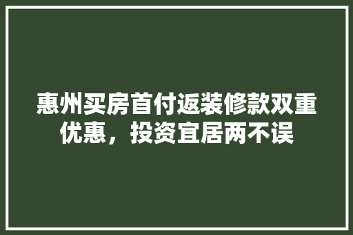 惠州买房首付返装修款双重优惠，投资宜居两不误