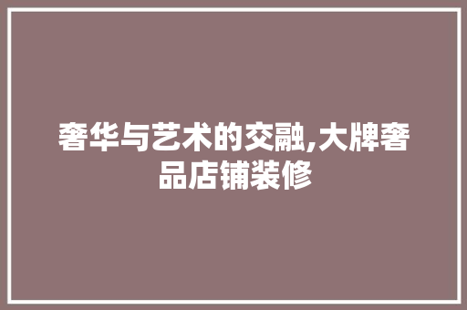 奢华与艺术的交融,大牌奢品店铺装修