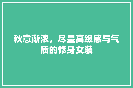 秋意渐浓，尽显高级感与气质的修身女装