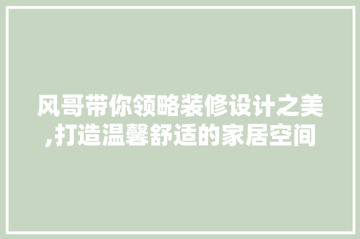 风哥带你领略装修设计之美,打造温馨舒适的家居空间