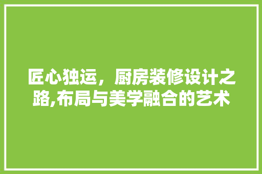 匠心独运，厨房装修设计之路,布局与美学融合的艺术