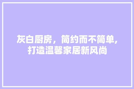 灰白厨房，简约而不简单,打造温馨家居新风尚